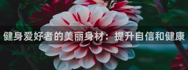 意昂2代理