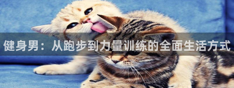 意昂2官方平台